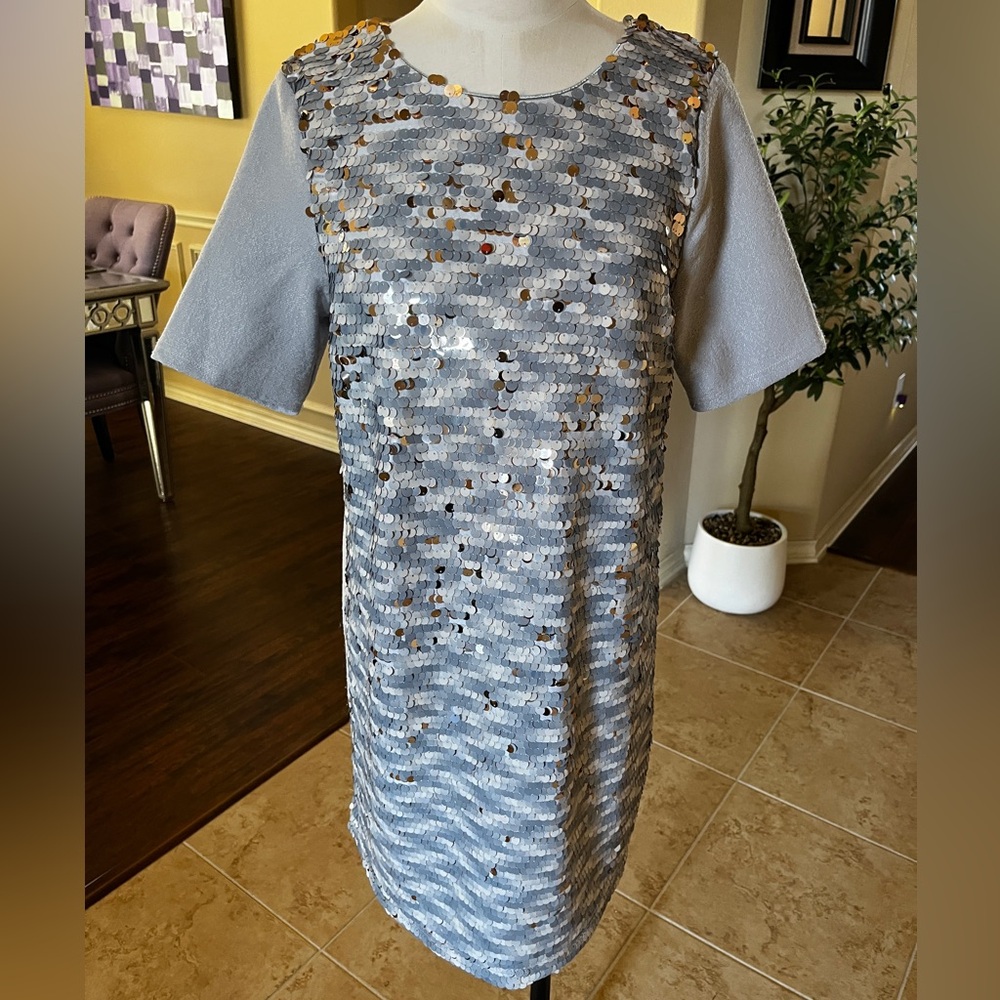 Silver Sequin Dress